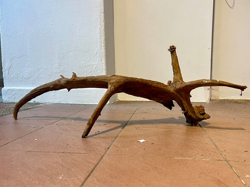 Driftwood B : 95cm x 43cm x 32cm(H)