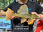* Pleco *  Hypostomus Luteus phase 2 31cm #LUTP224 (Actual Piece)