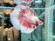 * Betta * HM Halfmoon (Actual Fish) #01