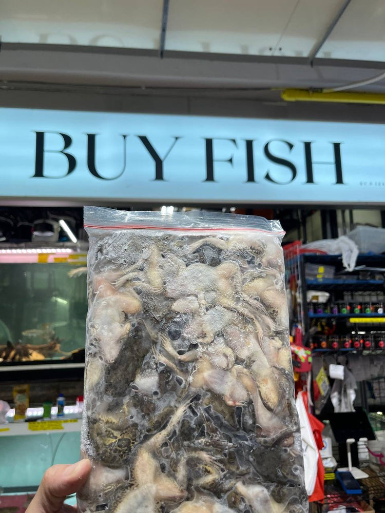 Frozen Field Frogs (FFF) - 1kg (1 Pack)
