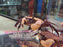 * Shrimps * Syntripsa Flavichela (Towuti White-Claw Crab)