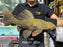 * Pleco *  Pseudacanthicus spinosus GIANT (L96 pleco) 45cm #96G01 (Actual piece)
