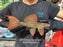 * Pleco *  Pseudacanthicus pitanga L24 Tucurui Super Red #24SR05 26cm (Actual piece)