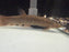 * Other Species * Phractolaemus Ansorgii (Hingemouth) 10-12cm