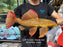 * Pleco *  Pseudacanthicus pitanga L24 Tucurui Super Red #24SR02 44cm (Actual piece)