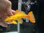 *Pleco* Xanto Pleco (Yellow) 14-16cm