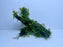 * Plants* Christmas Moss On Resin #CMR (10x8cm)