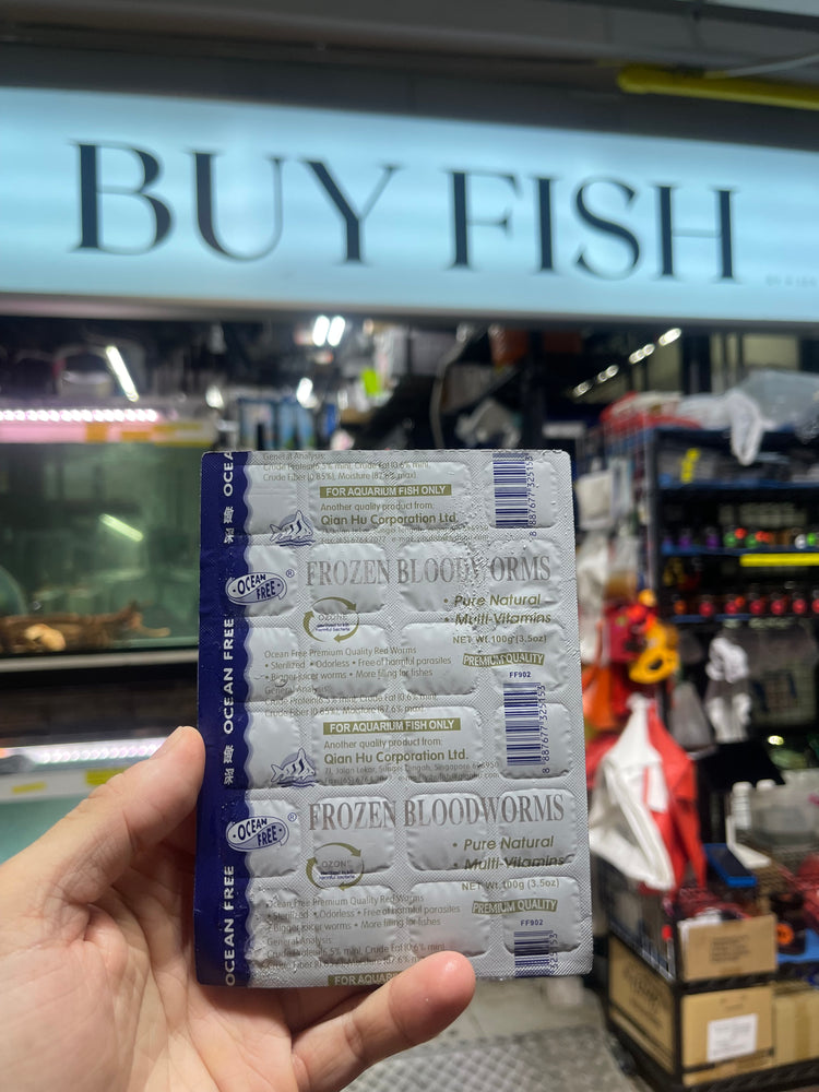 OCEANFREE Frozen Bloodworm (FBW) - 100g(per slab)