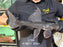 * Pleco *  Pseudacanthicus major L186 #18611 30cm (Actual piece)