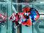 * Betta * HMPK (Actual Fish) #64
