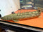 * Polypterus * Polypterus Lapradei “Faranah” 50cm+