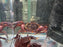 * Shrimps * Syntripsa Matannensis (Matano Purple Crab)