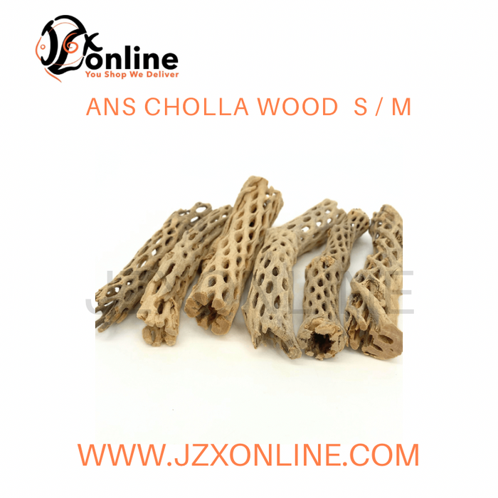 ANS Cholla Wood  S / M