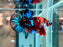 * Betta * HMPK (Actual Fish) #66