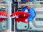 * Betta * HMPK (Actual Fish) #20