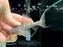* Pleco *  Pseudacanthicus hystrix (L275 Tailstriped Cactus Pleco) 11cm #27505 (Actual piece)