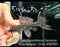 * Pleco * Pseudacanthicus Serratus “Courantyne” 11cm #SER01 (Actual Piece)