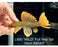 * Pleco * Pseudacanthicus leopardus (L600) “Wild” Full Red Tail! High orange dorsal coverage! 15cm #60007 (Actual Piece)