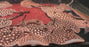 * Stingrays * Potamotrygon albimaculata P14 Galaxy