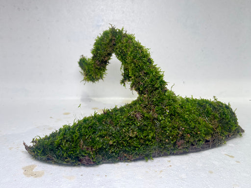 * Plants* Moss on driftwood #01