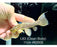 * Pleco * L63 (Clean Body) #63005