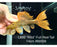 * Pleco * Pseudacanthicus leopardus (L600) “Wild” Full Red Tail! 14cm #60006 (Actual Piece)