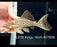 * Pleco *  Panaque armbrusteri (L27B Xingu) 16cm #27b26 (Actual piece)