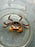 * Shrimps * Metasesarma obesum (Batik Crab)