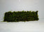 * Plants* Christmas Moss on Mesh #CMM