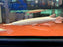 * Other Species * Lepisosteus platyrhincus ALBINO (Albino Florida Gar) 25-30cm