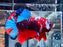 * Betta * HMPK (Actual Fish) #07