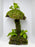 * Plants * Mushroom Moss Hut #02