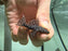 * Pleco *  Pseudacanthicus sp. (L452) Mustang Cactus Pleco (6-8cm)