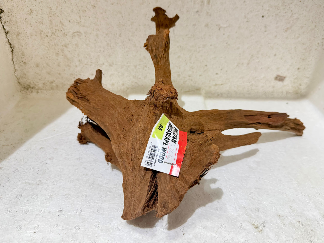 ANS Malayan Aquascape Wood (Driftwood) M Size (30-38cm)