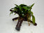 * Plants * Anubias Glabra on Spiderwood #156