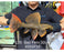 * Pleco *  Pseudacanthicus Pirarara (L25 Sao Felix) 32cm #25SF22 (Actual piece)