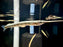 * Other Species * Zenarchopterus Dunckeri (Duncker River Halfbeak)