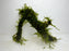 * Plants* Java Moss on Spiderwood #03
