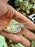 * Other Species * Balloon Albino Tin Foil Barb (TFB) 6-8cm