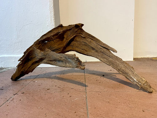 Driftwood F : 75cm x 64cm x 34cm(H)