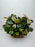 * Plants * Bucep Sp. Pink Melawi on rock #BPM