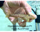 * Pleco *  Hypostomus Luteus phase 1 11cm #LUTP102 (Actual Piece)