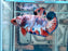 * Betta * HMPK (Actual Fish) #90