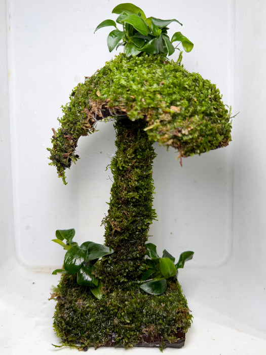 * Plants * Mushroom Moss Hut #03