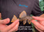 * Pleco *  Hypostomus Luteus phase 1 13cm #LutP108 (Actual Piece)