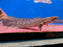 * Polypterus * Polypterus lapradei "Ughelli" WILD 42-50cm