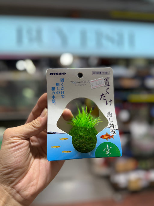 NISSO Decorations (Table Aqua)