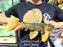 * Pleco *  Hypostomus Luteus phase 2 30cm #P210 (Actual Piece)