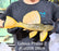* Pleco *  Hypostomus Luteus phase 2 28cm #P206 (Actual Piece)