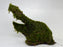* Plants* Moss on driftwood #09